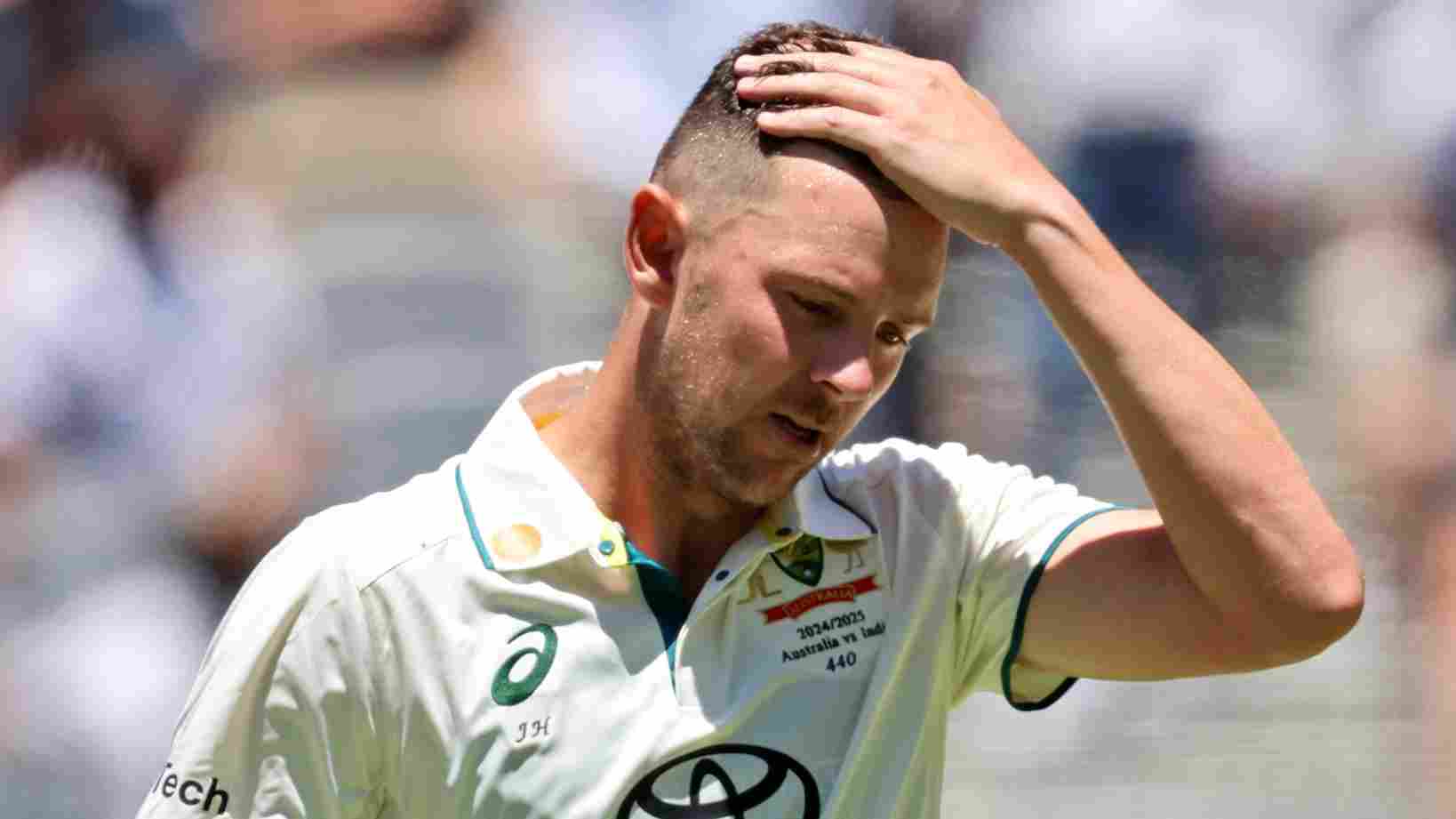 Josh Hazlewood ruled out of remainder of The Ashes 2025–26