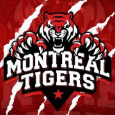 MRT Logo