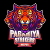 PSN Logo